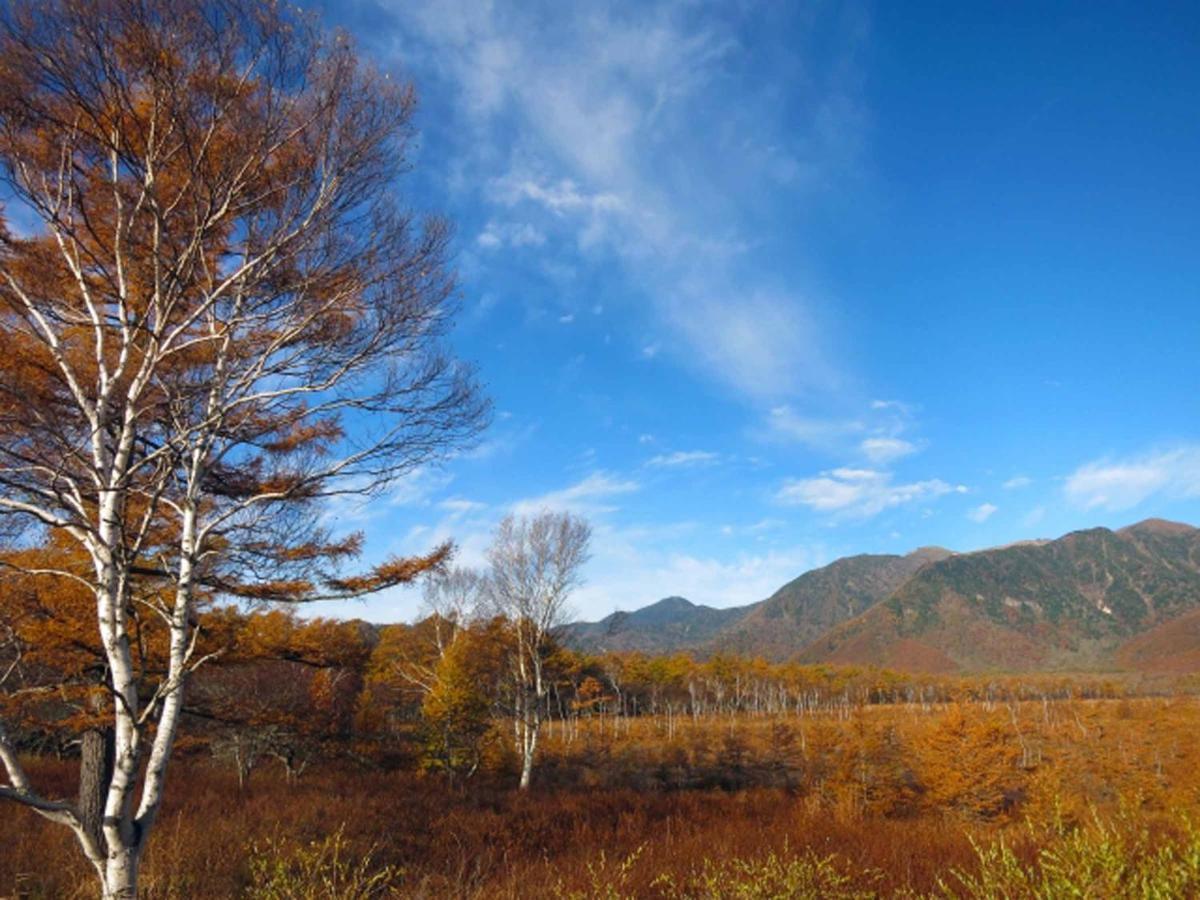 Okunikko Park Lodge Miyama Ngoại thất bức ảnh